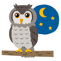 アウル エンジニア（Owl Engineer）