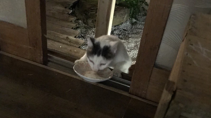 来客2